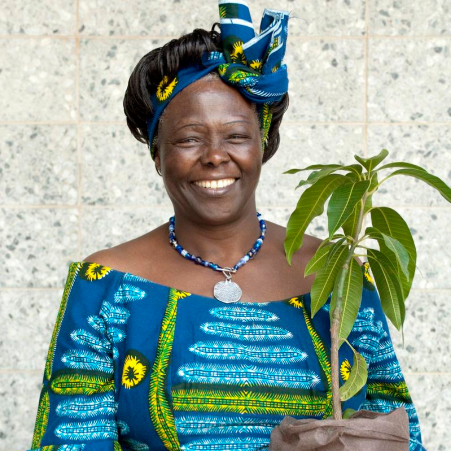 wangari-maathai-cinturon-verde-ecologista-afroreferentes-potopotoafro