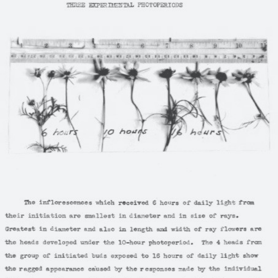 Notas de sus experimentos