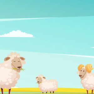 El capricho del rey - Cuento africano para educar en iniciativa