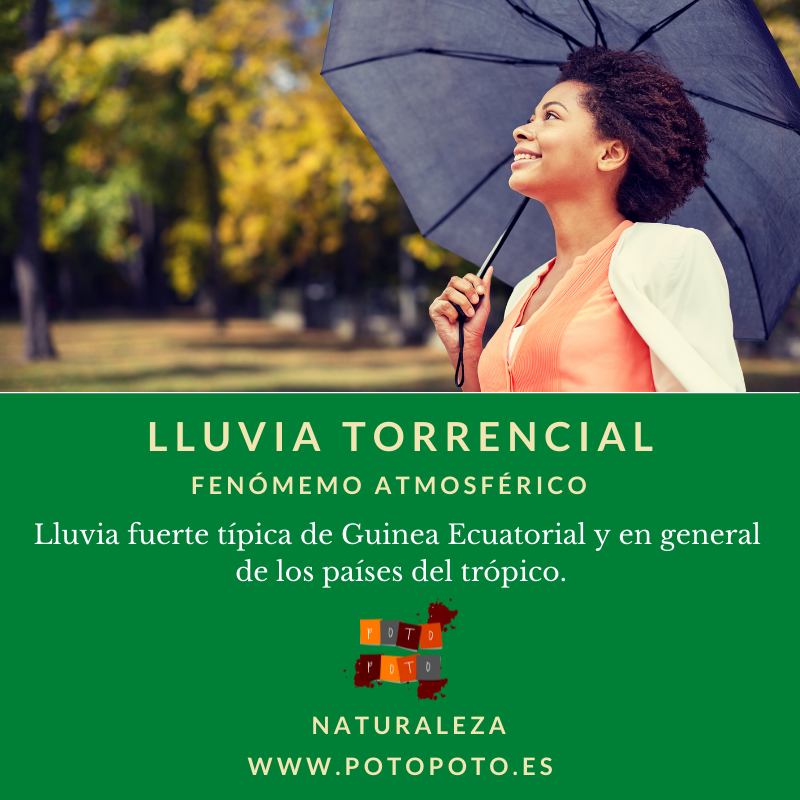 Lluvia torrencial
